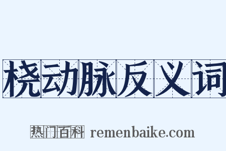 桡动脉反义词是什么意思的图片